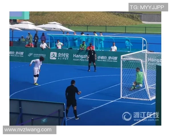 北京排球队灵活性创新高引发全国排球界关注与热议