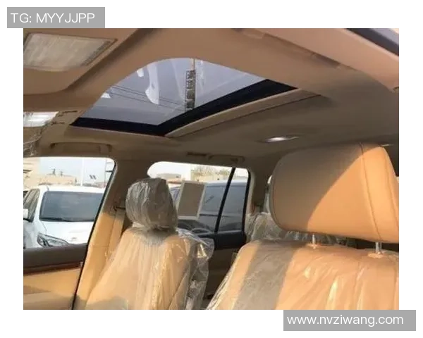 南京排球队以77分稳居洲际杯积分榜首位展现强劲实力